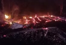 tio e sobrinho morrem após incêndio