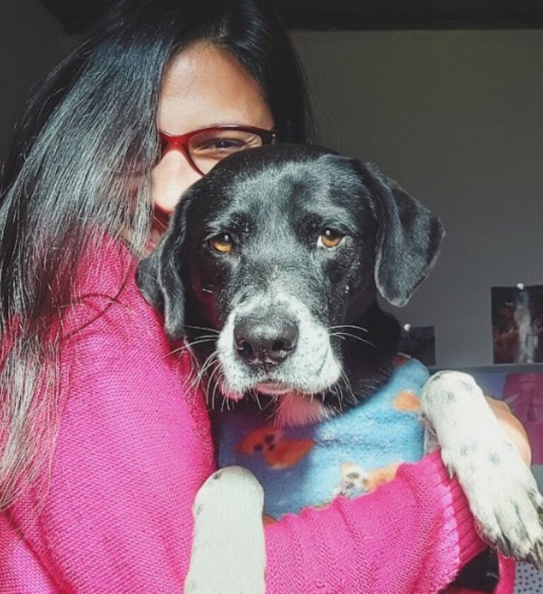 Moradora de Canoas com autismo busca cachorrinha perdida durante enchente