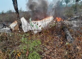 Avião caiu em Mato Grosso