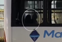 motorista de ônibus