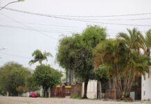 previsão