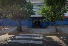 Escola de Canoas suspende aulas após ataque de pulgas. Conforme a instituição, o prédio está passando por uma desinsetização emergencial.
