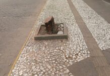 Centro Canoas
