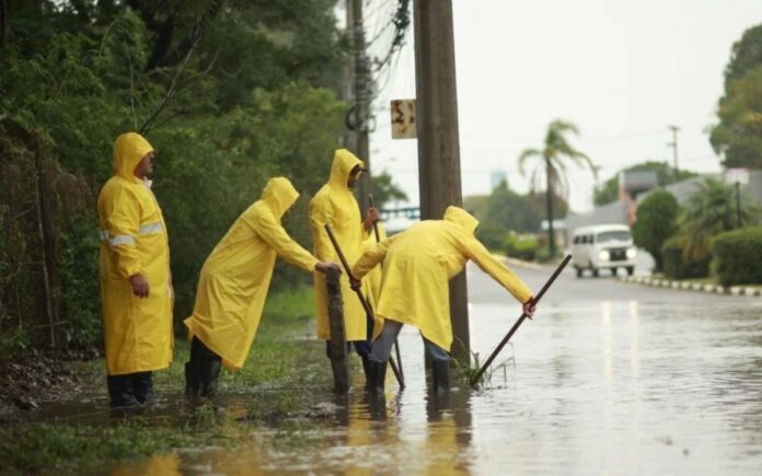 Canoas