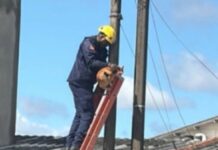 Gato preso em poste é resgatado pelo Corpo de Bombeiros em Canoas no fim da manhã desta quinta-feira (5). Ocorrência aconteceu na rua André Luiz dos Anjos Conceição, no bairro Guajuviras.