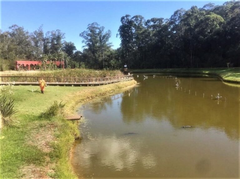 tempo Rio Grande do Sul