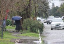 Durante temporal, ventos chegam a 77kmh em Canoas; Veja o que diz Defesa Civil