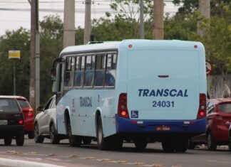 ônibus transcal de graça