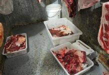 alimentos impróprios para consumo