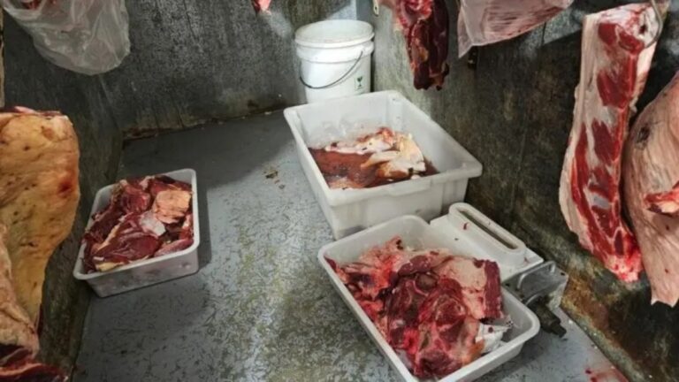 alimentos impróprios para consumo