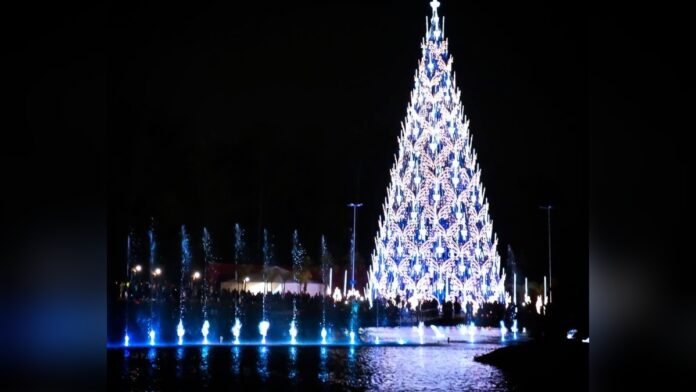 Após cinco anos, Árvore Mágica de Natal volta ao Parkshopping Canoas