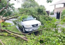 Ventos chegam a 85 km/h durante tempestade em Canoas