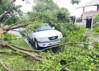 Ventos chegam a 85 km/h durante tempestade em Canoas