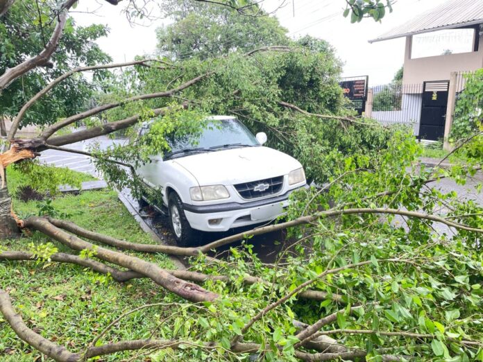 Ventos chegam a 85 km/h durante tempestade em Canoas