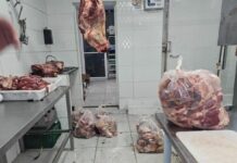 Mais de 300 kg de carnes mofadas, sujas e com ferrugem são apreendidas em fábricas