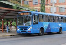 Confira as linhas especiais de ônibus para ir votar em Canoas neste domingo