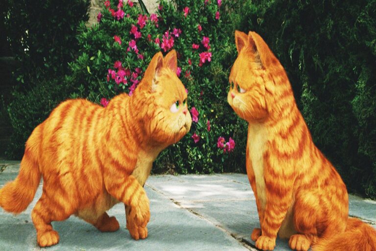 A Sessão da Tarde comemora 50 anos e nesta terça trás um clássico do cinema, que conta a aventura de um preguiçoso amiguinho.