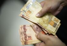 Saiba como consultar CPF e verificar se você tem direito à devolução de imposto