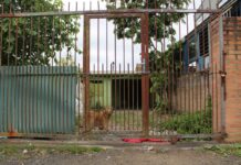 Quem é a mulher acusada de matar casal de Cachoeirinha e carbonizar corpos em Canoas