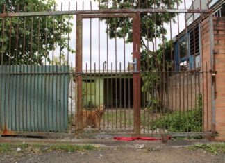 Quem é a mulher acusada de matar casal de Cachoeirinha e carbonizar corpos em Canoas