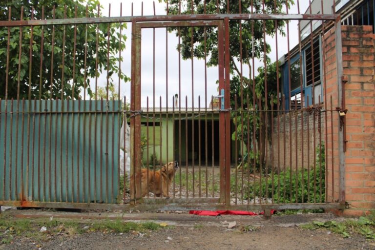 Quem é a mulher acusada de matar casal de Cachoeirinha e carbonizar corpos em Canoas
