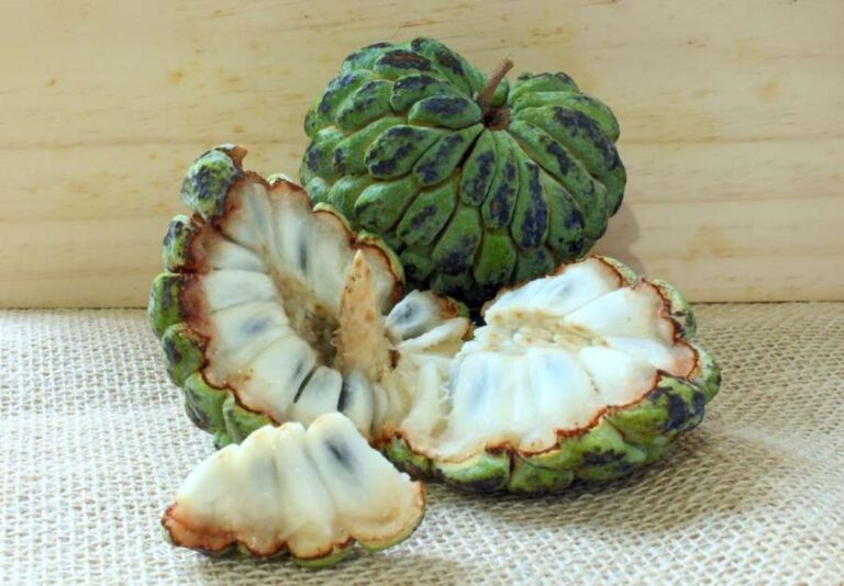 Fruta do Conde auxília na saúde e bem-estar