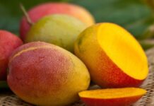 manga frutas almoço