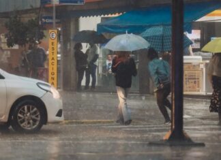 MetSul alerta para calorão e temporal na próxima semana