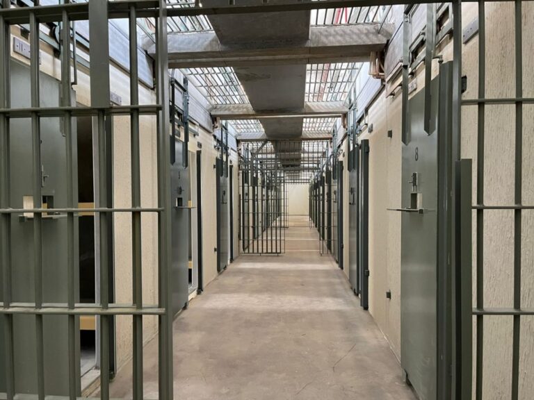 Senadores aprovaram projeto que versa sobre castração química voluntário