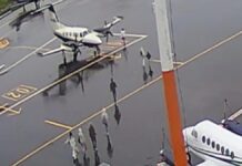 avião cai em gramado