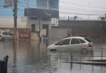 canoas