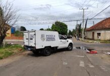 Canoas