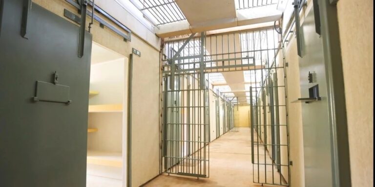 castração química para condenados por pedofilia