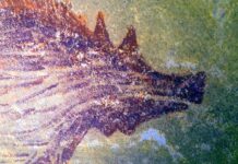 Estas foram algumas das maiores descobertas dos últimos anos