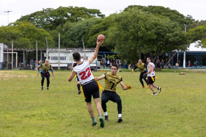 festival-canoas