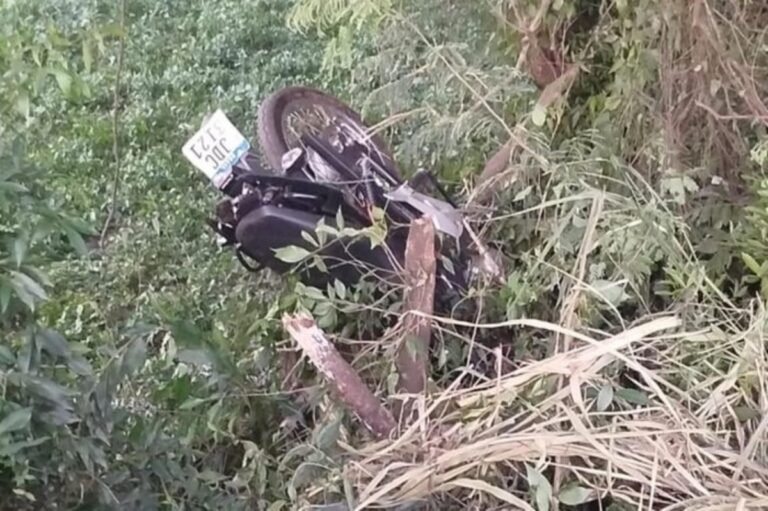 motociclista árvore