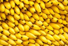 Veja os mitos e verdades da banana