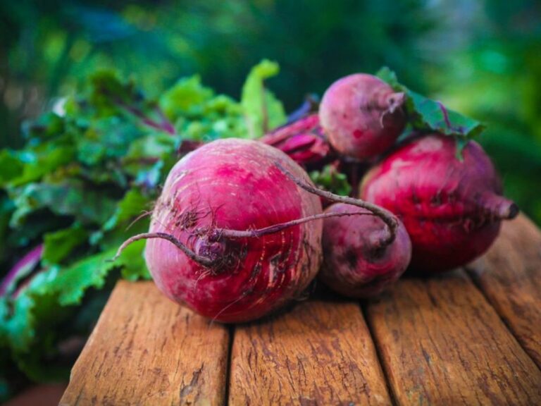 Veja quais são os benefícios da beterraba