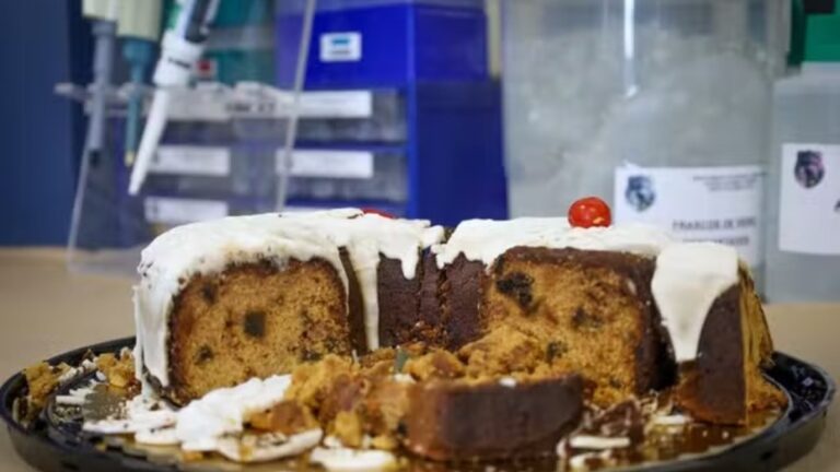 Bolo com arsênio: suspeita pode ter envenenado marido e filho, diz polícia