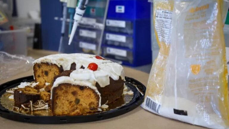 Bolo envenenado: veja o que disse sogra de suspeita em depoimento