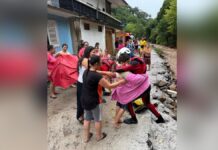 bombeiros criança