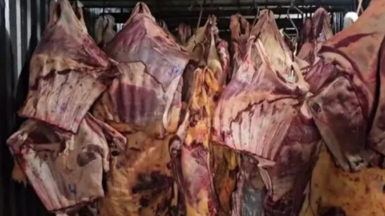 Empresa do RJ revendeu carnes contaminadas pela enchente em Canoas como cortes nobres