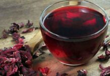 Benefícios do chá de hibisco para saúde