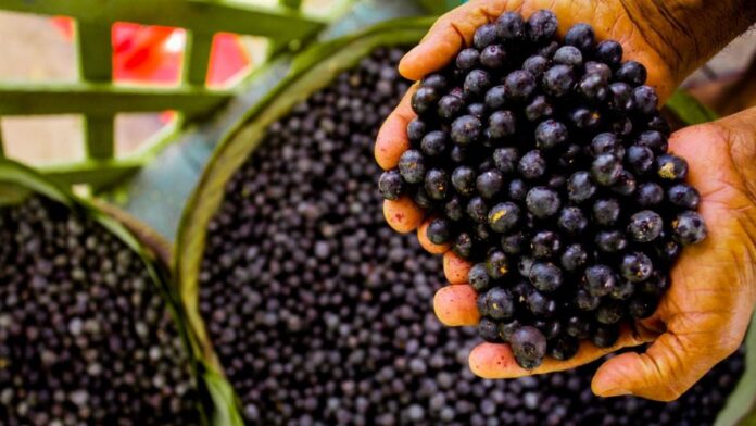 Benefícios do Açai para a saúde