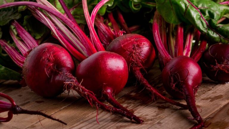 Benefícios da beterraba para sua saúde