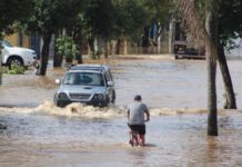 canoas