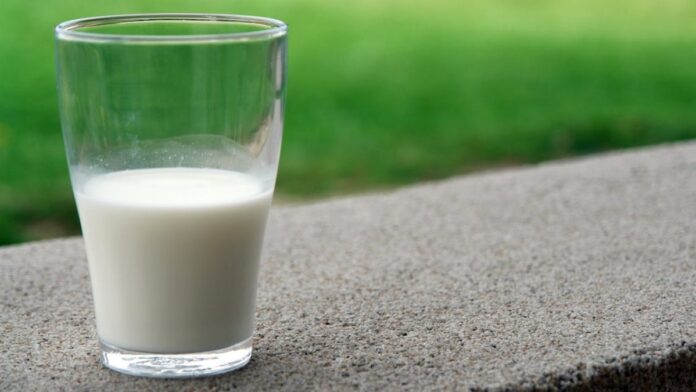 intolerância a lactose