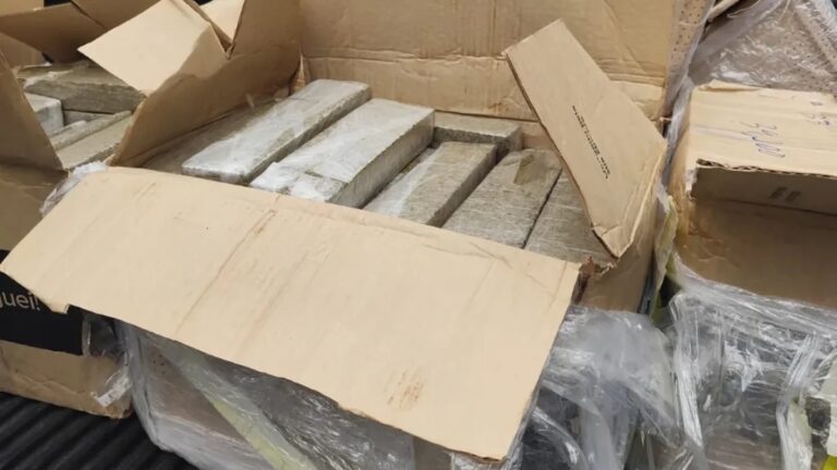 Duas mulheres são presas com mais de 300kg de maconha em caixas do Mercado Livre