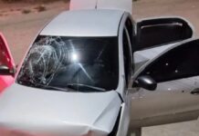 motorista tiros
