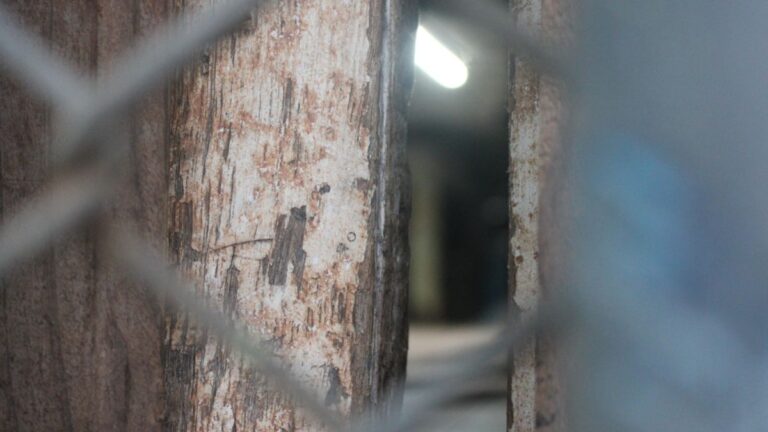 Polícia Civil prende suspeito de torturar funcionário com choques elétricos e furadeira em Canoas